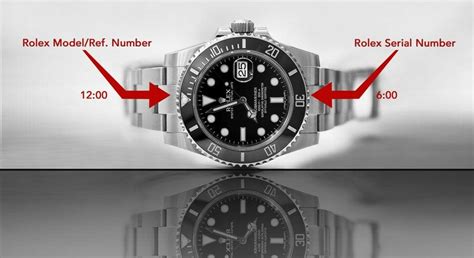 rolex verification online|identify my rolex.